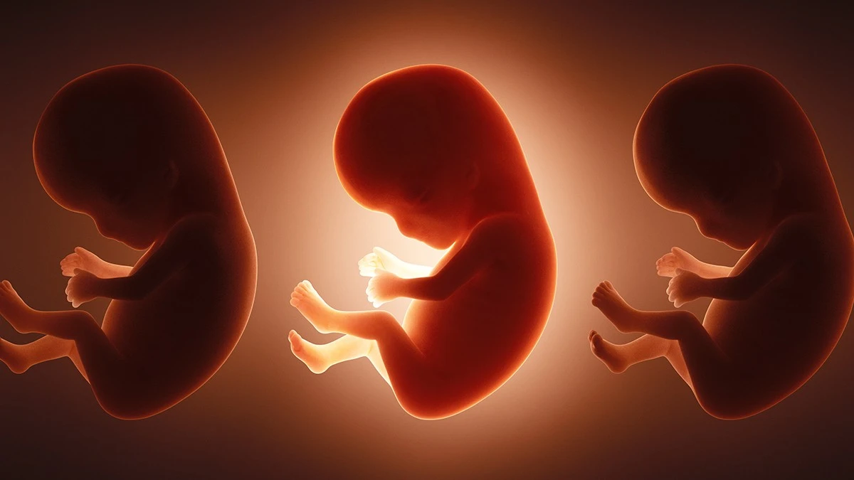 Scoperti 42 "eterni inquinanti" nel sangue dei neonati: un allarme silenzioso prima della nascita
