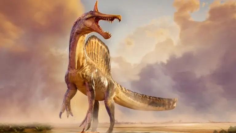 Spinosaurus mirabilis: La scoperta spaventosa nella sabbia del Sahara